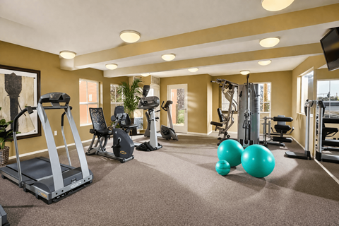 A gym with treadmills, weights, and exercise balls.