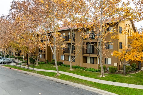 Apartment building with trees in autumn colors.