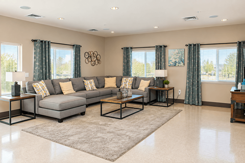 A living room with a grey sofa and a rug.