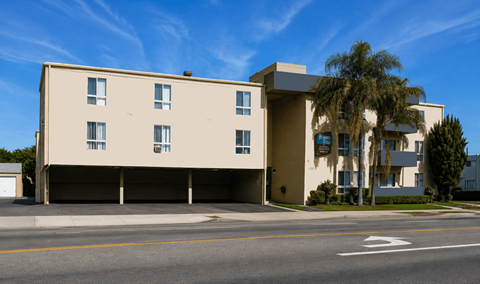 A modern building with a palm tree in front.