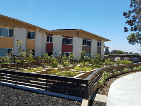 Common area planters