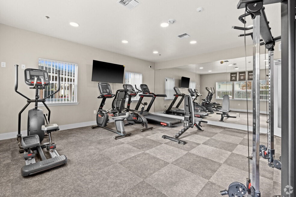 the gym is equipped with cardio equipment and state of the art cardio machines and weights