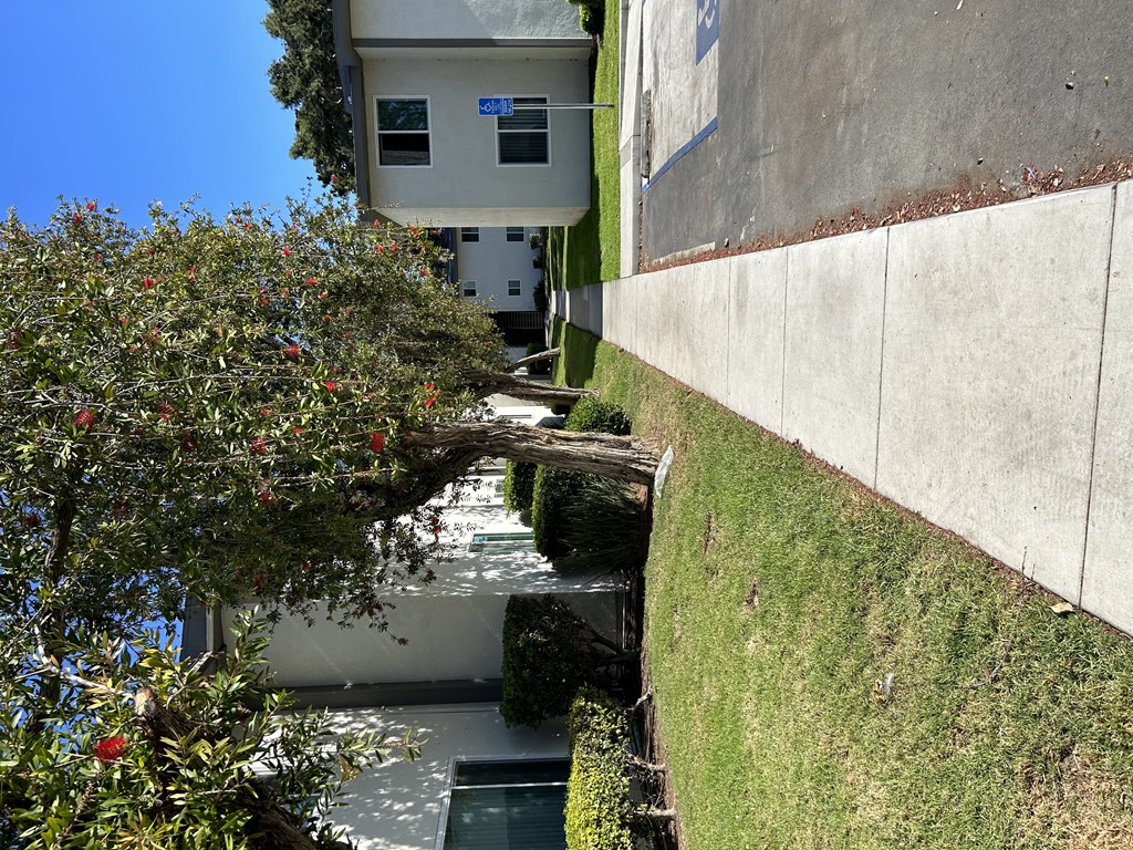 a view of the side of a building with an apple tree in front of it
