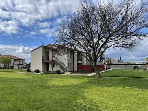 an apartment building with a large tree in front of it