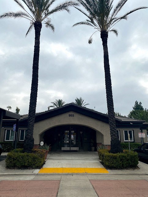 a building with two palm trees in front of it