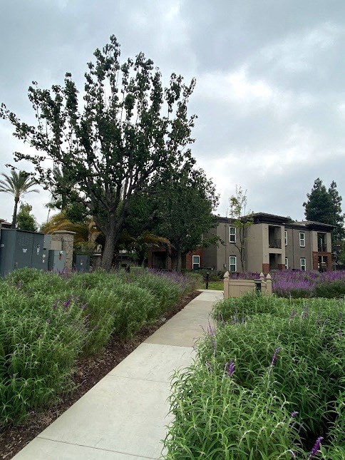 a sidewalk in front of a building with a tree in the background