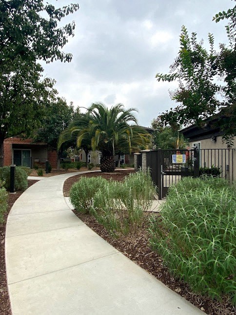 a sidewalk in front of a house with a palm tree in the background
