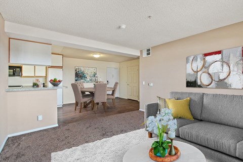 our apartments offer a living room and dining room with a table