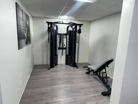 A gym room with a bench, weights and a picture on the wall.