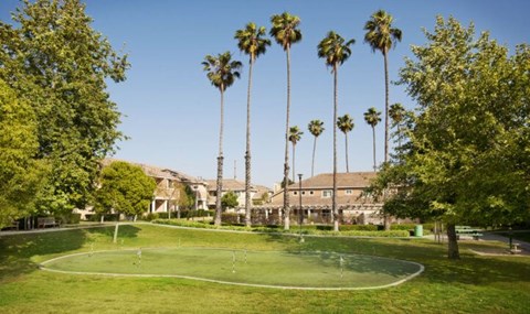 A green field with a white line in the middle and palm trees in the background.