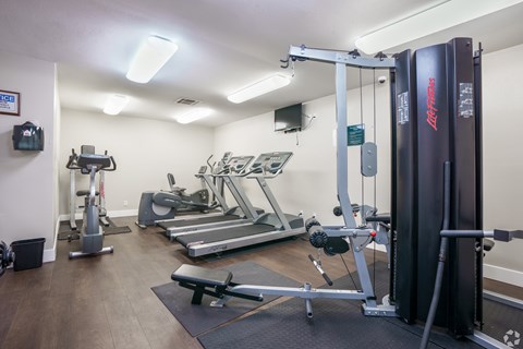 A gym with a variety of equipment including a treadmill, a weight bench and a rowing machine.