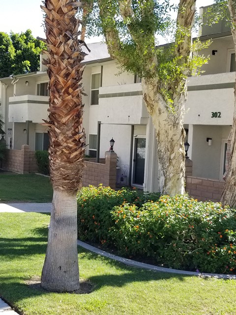 two palm trees in front of an apartment building
