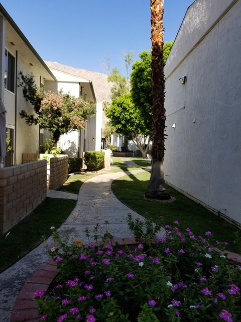 a walkway between two buildings in a yard with purple flowers