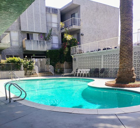 A pool in front of a building with a palm tree.