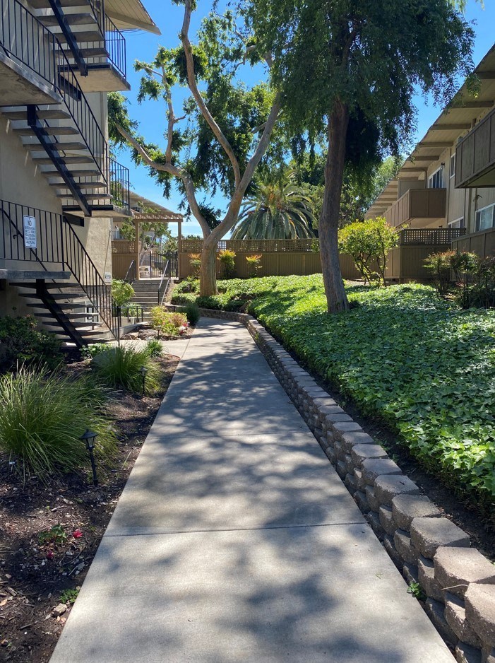 a sidewalk with trees and grass in an apartment complex