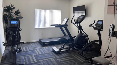A gym with treadmills, elliptical machines, and other exercise equipment.