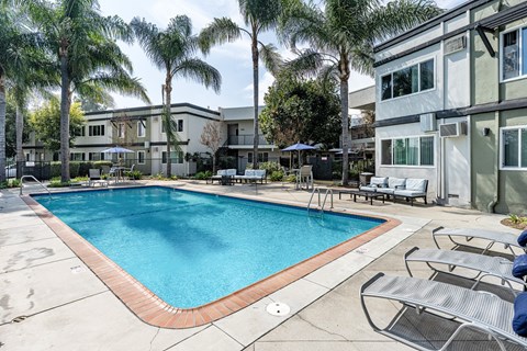 A swimming pool surrounded by palm trees and lounge chairs at The Marquee Apartments, California