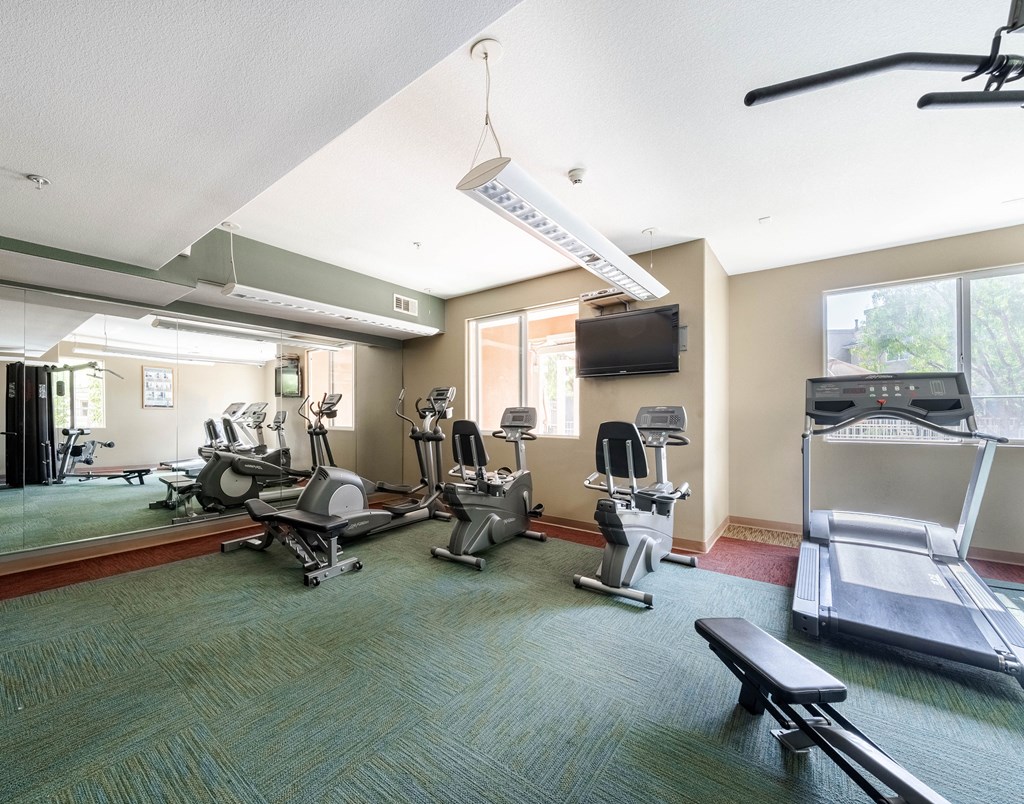 the gym at our apartments has cardio equipment and a tv