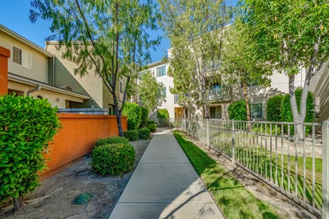 a walkway between two buildings with trees and a fence