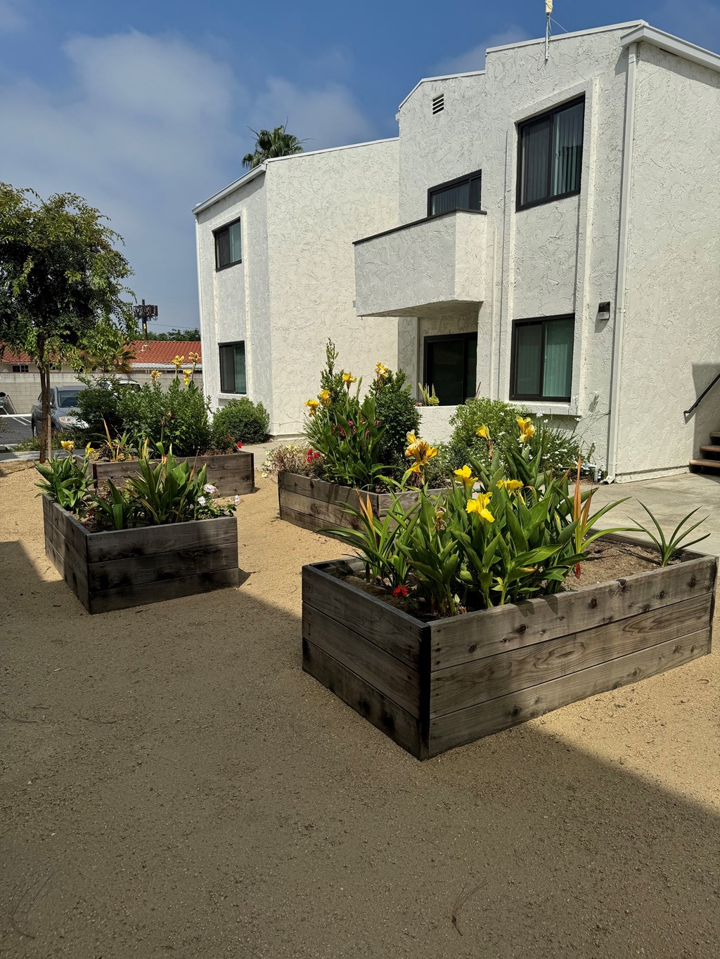 a group of wooden planters with flowers in front of a building