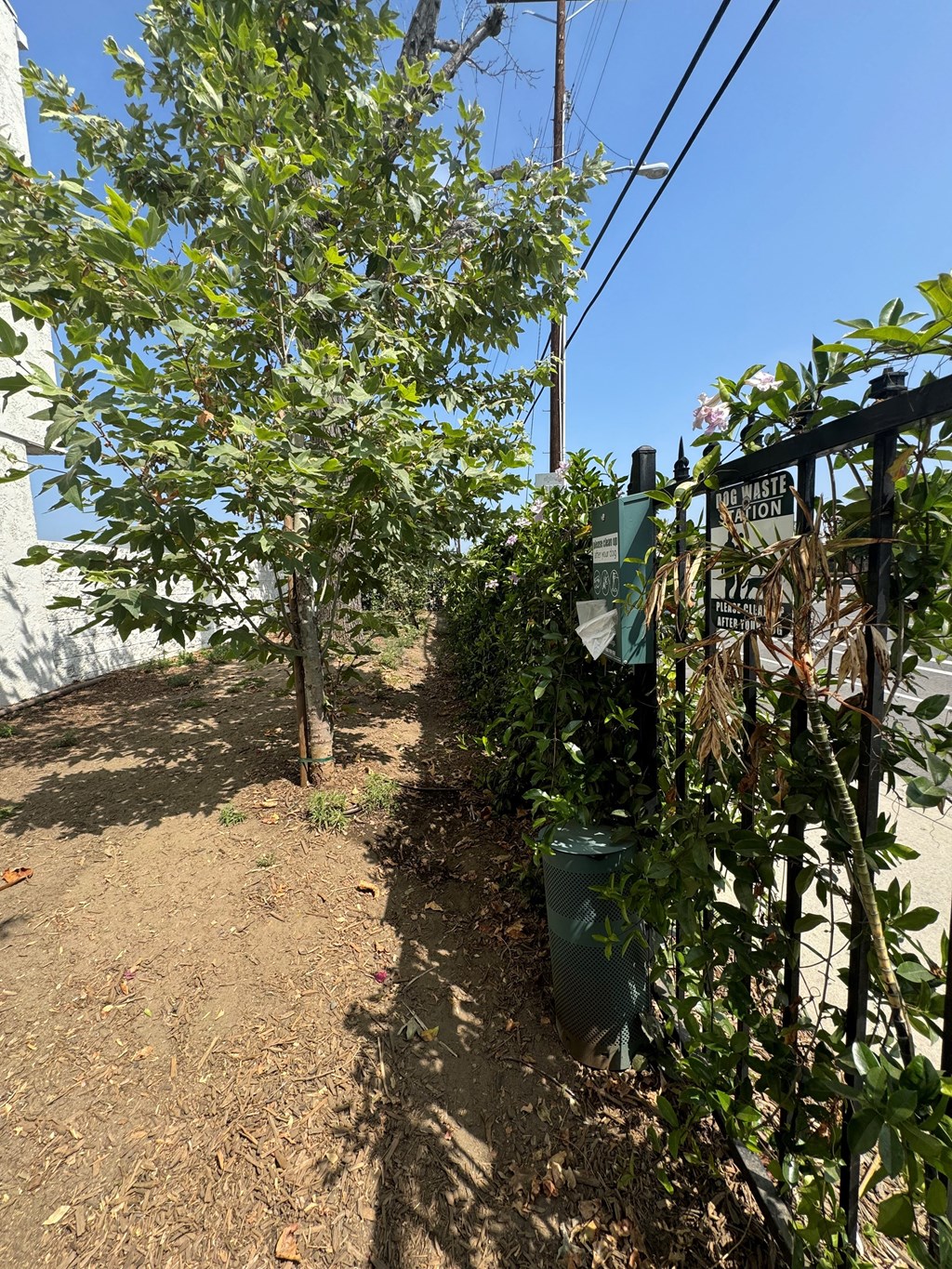 a view of a garden with trees and a fence