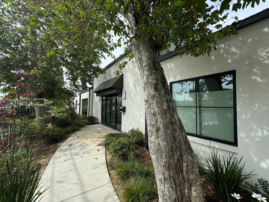 the exterior of a leasing office with a tree in front of it