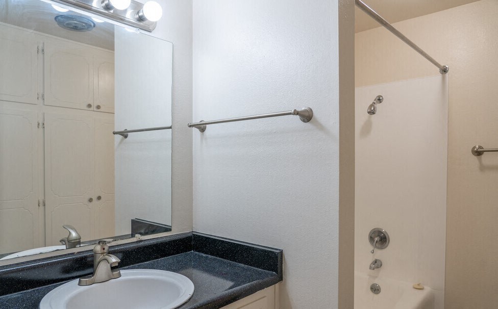a bathroom with a sink and a shower and a mirror