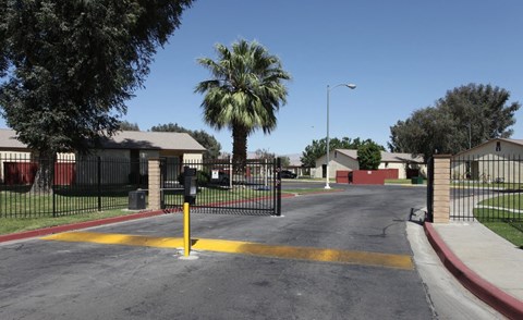 a city street with a palm tree and a black fence