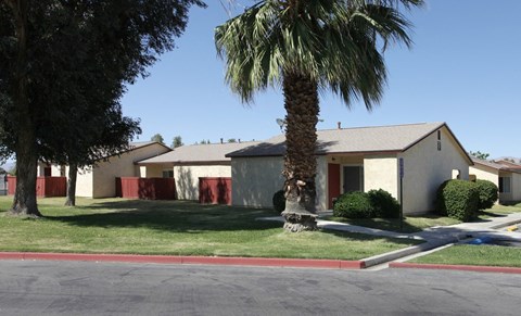 a house with a palm tree in front of it