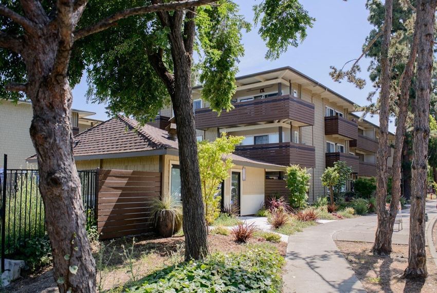 walkway with trees on either side leading to a 3 story apartment building