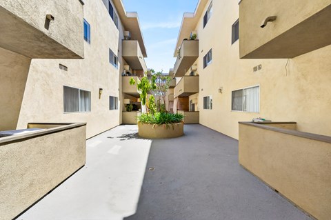 A courtyard between two buildings with a planter in the middle.
