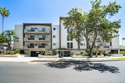 A tree stands in front of a building with a black gate.