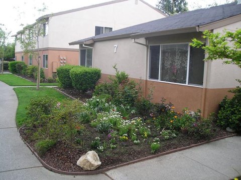 a house with a garden in front of it