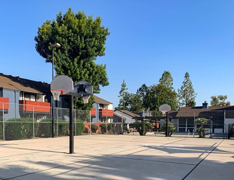 A basketball court with a basketball hoop and a basketball on the ground.