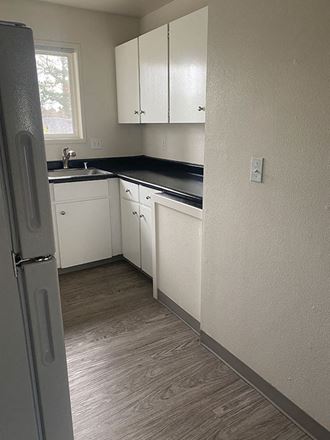 Apartment Interior Kitchen Apartment Interior Kitchen - Photo Gallery