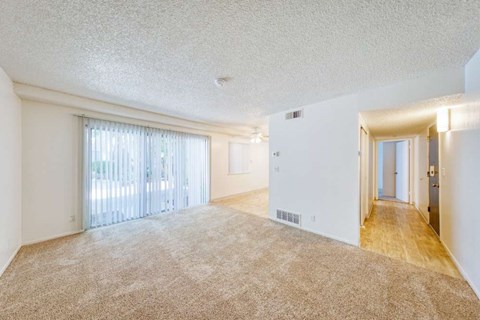 A spacious room with a carpeted floor and a sliding glass door.