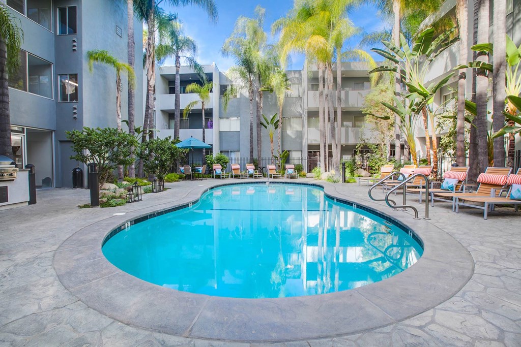 A round swimming pool surrounded by palm trees and lounge chairs.