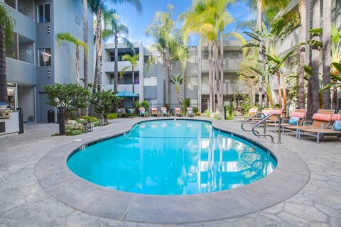 A round swimming pool surrounded by palm trees and lounge chairs.