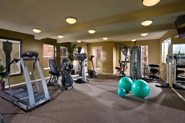 A gym with a variety of equipment including treadmills, weights, and exercise balls.