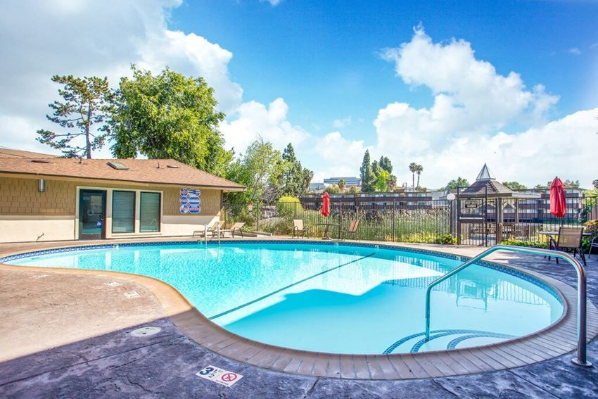 Pool and lounge area