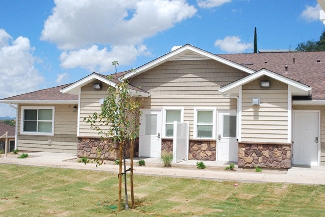 a house with a tree in the front yard
