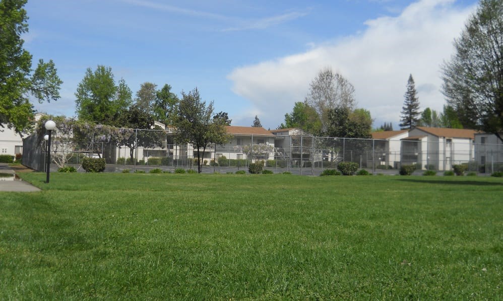 a park with a fence and a building in the background