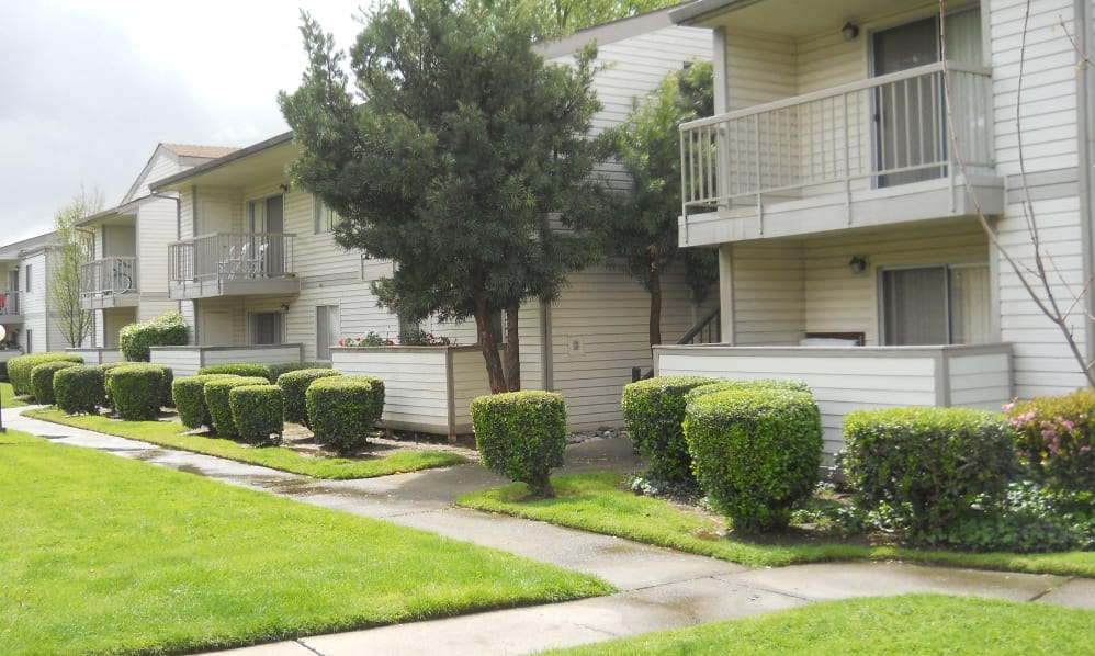 an apartment building with manicured bushes and trees in front of it