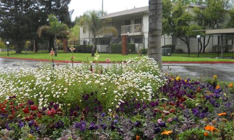 a garden of flowers in front of a building