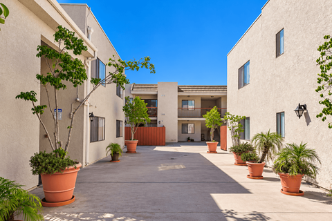 A courtyard with potted plants and a building in the background.