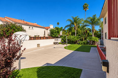 A sunny day at a residential area with a house, trees, and a basketball hoop.