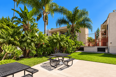 A patio with a table and chairs surrounded by greenery and a building in the background.
