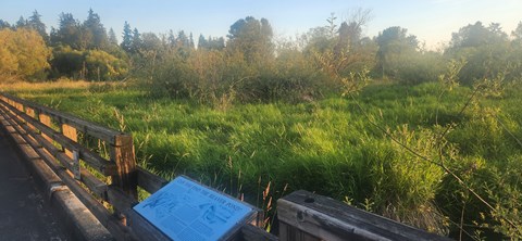 A blue sign is on a wooden fence in a grassy field.