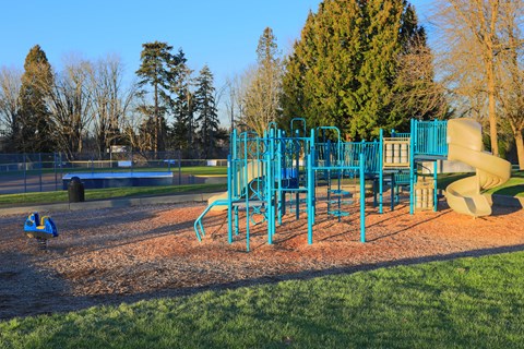 A playground with a blue slide and a yellow slide.