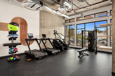 A gym with treadmills, exercise bikes, and other equipment.